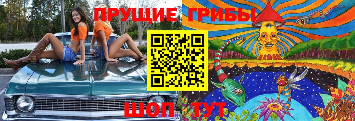 Псилоцибиновые грибы Magic Shrooms Горно-Алтайск