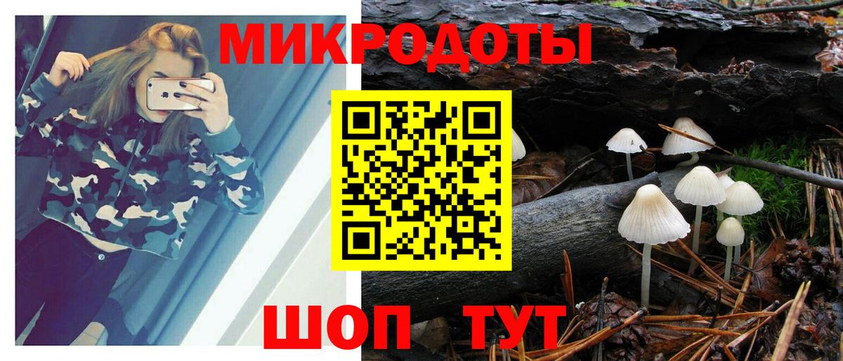 Псилоцибиновые грибы Psilocybe  Вход с VPN  Горно-Алтайск 